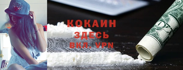 крисы Дмитров