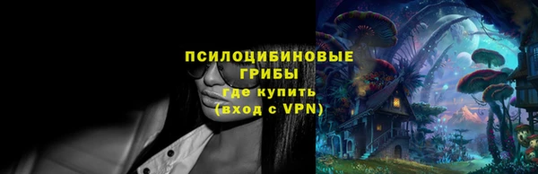 гашиш Дмитриев