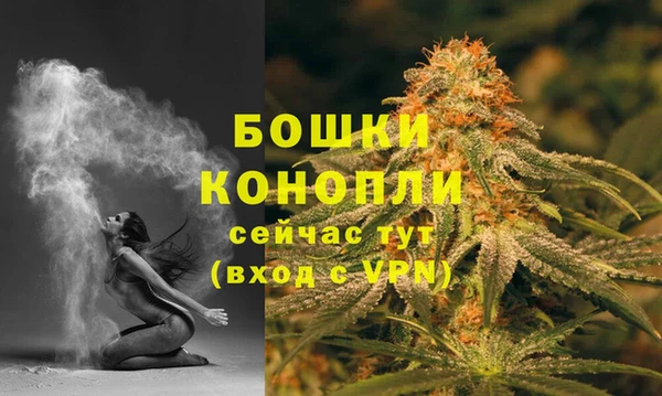 крисы Дмитров