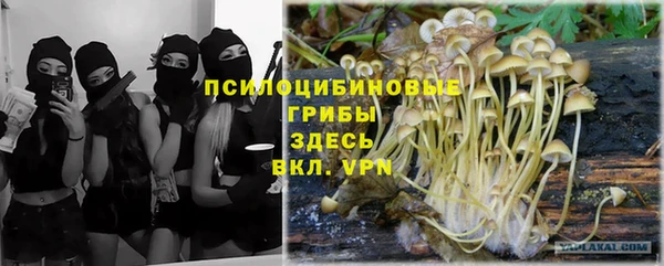 крисы Дмитров
