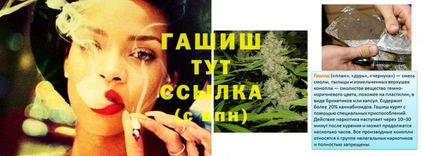 крисы Дмитров