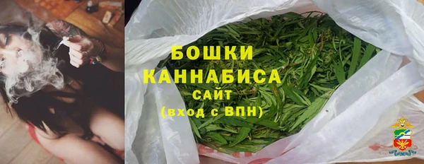 крисы Дмитров
